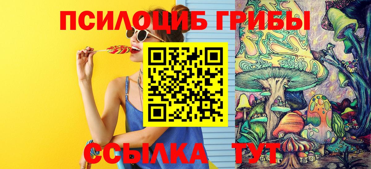 Воронеж  Псилоцибиновые грибы GOLDEN TEACHER  Вход с VPN 