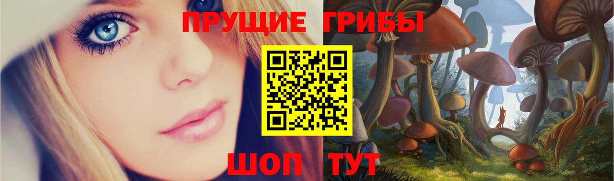 Галлюциногенные грибы Psilocybine cubensis Воронеж